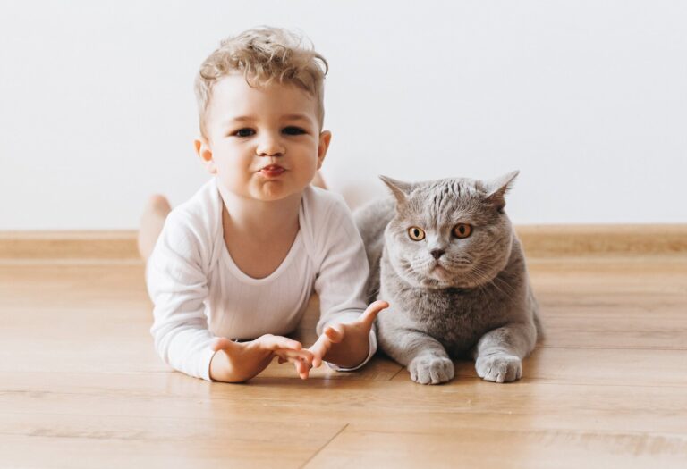 Calgary Cleaner | Professional Cleaners & Best Cleaning Company in AB
